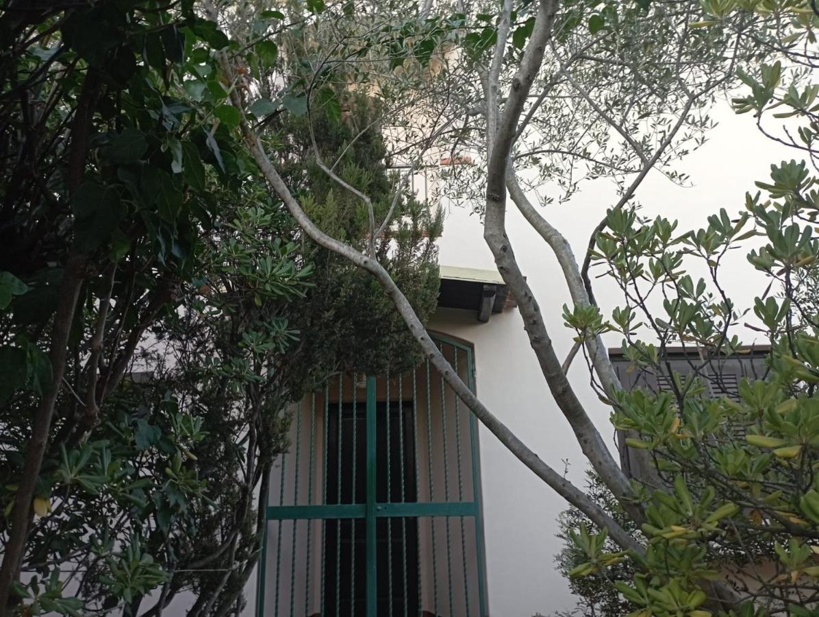 Domus Garden Bed & Breakfast ออลเบีย ภายนอก รูปภาพ