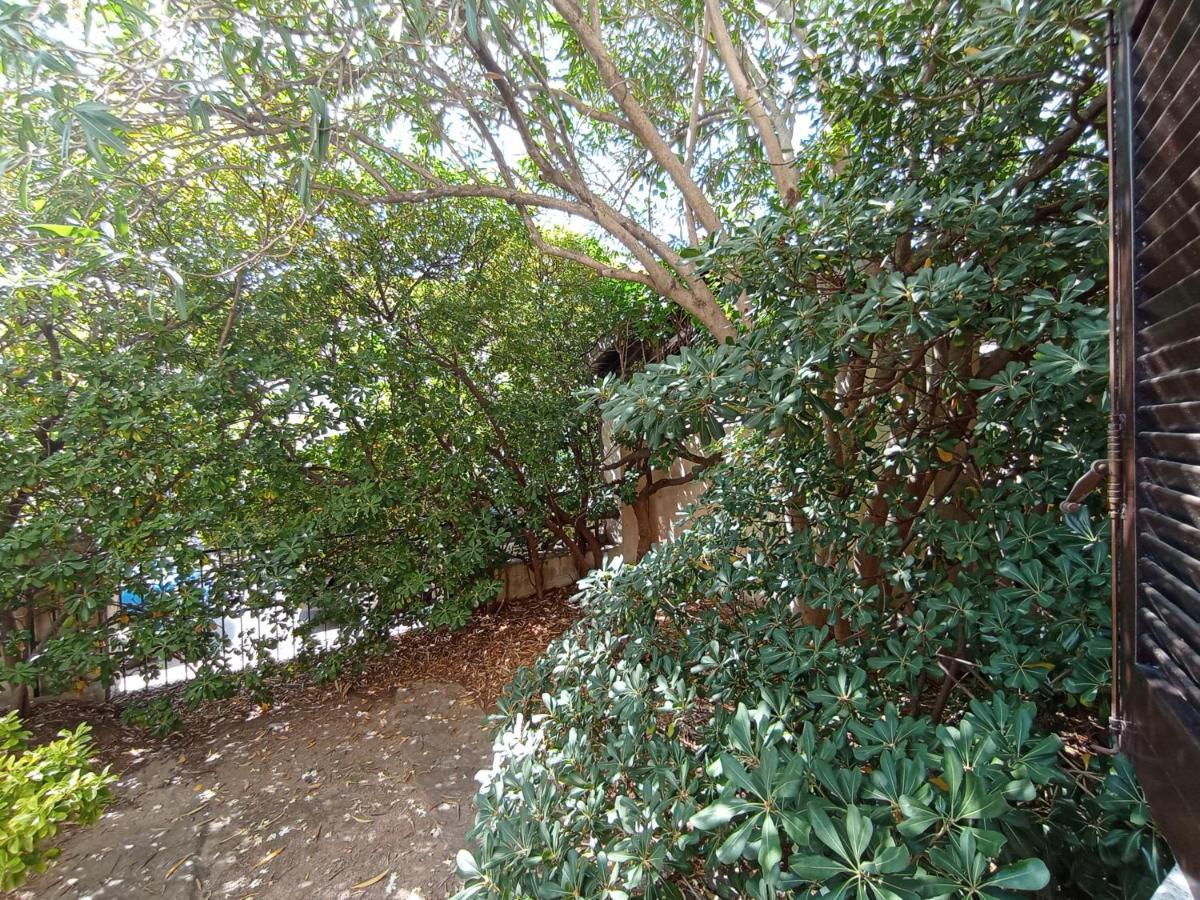 Domus Garden Bed & Breakfast ออลเบีย ภายนอก รูปภาพ